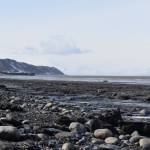 The waters of Cook Inlet lap against Nikishka Beach in Nikiski, Alaska, where several local fish sites are located, on Friday, March 24, 2023. (Jake Dye/Peninsula Clarion)