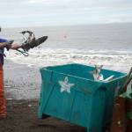 Salmon are collected at a test site for beach seine nets near Kenai, Alaska, on Tuesday, July 30, 2024. (Jake Dye/Peninsula Clarion)