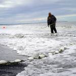 Monitor Robert Begich counts the salmon pulled ashore and looks for king salmon at a test site for beach seine gear near Kenai, Alaska, on Tuesday, July 30, 2024. (Jake Dye/Peninsula Clarion)