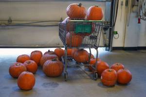 Pumpkins wait to be dropped from planes for the entertainment of people during Kenai Aviations Fifth Annual Pumpkin Drop at the Kenai Municipal Airport Operations Building in Kenai, Alaska, on Saturday, Oct. 21, 2023. (Jake Dye/Peninsula Clarion)