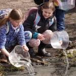 Students stock rainbow trout into Johnson Lake during Salmon Celebration, hosted by the Alaska Department of Fish and Game near Kasilof, Alaska, on Wednesday, May 7, 2025. (Jake Dye/Peninsula Clarion)