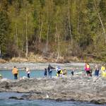 Sterling Elementary School students collect trash from the banks of the Kenai River near Bings Landing in Sterling, Alaska, during the 10th Annual Kenai River Spring Cleanup on Wednesday, May 14, 2025. (Jake Dye/Peninsula Clarion)