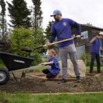 Volunteers repair the trails at Erik Hansen Scout Park in Kenai, Alaska, on Wednesday, June 25, 2025. (Jake Dye/Peninsula Clarion)