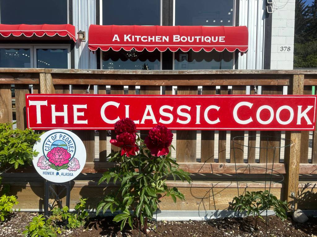 Peonies are in bloom on Friday, July 4, 2025, in front of The Classic Cook on Pioneer Avenue in Homer, Alaska, just in time for the start of the sixth annual Peony Celebration. Photo by Christina Whiting
