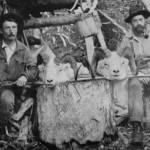 Photo from Marshall Sculls 1914 memoir, Hunting in the Arctic and Alaska
Ferdinand Fritz Posth, left, poses with two Dall sheep heads and fellow guide/packer William Wild Bill Dewitt at a cabin on upper Killey River in the early 1910s. When King David Thurman was arrested for a game violation in 1911, Posth testified against him, but some jurors discounted his testimony and declined to convict Thurman.
