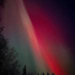 Red aurora fills the sky above Yankovich Road on the evening of Nov. 11, 2025, in Fairbanks, Alaska. Photo by Nora Carlson.