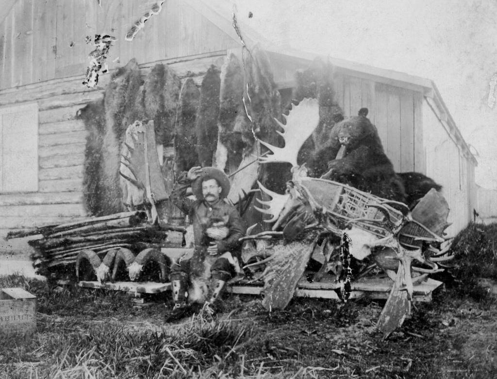 Photo courtesy of the Viani Family Collection
Pictured here with trophies of his trade is P.F. Frenchy Vian, a bit of a hustler who lived in Kenai for about 20 years and took advantage of opportunities, fairly or not, when they were presented to him. One of those opportunities involved the defunct agricultural experiment station at Kenai.