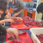 Soldotna High School students learn how to prepare moose meat through the schools annual Moose Permit Project, an educational partnership between SoHi and the Alaska Department of Fish and Game. Photo courtesy of Tabitha Blades/Soldotna High School