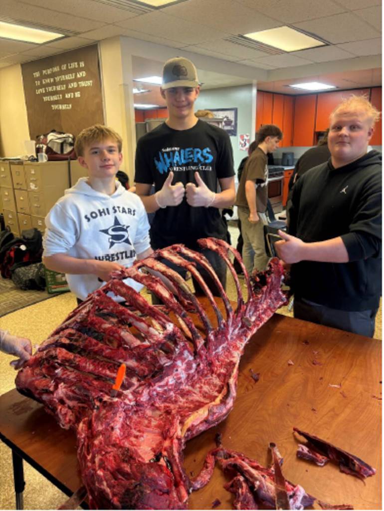 Soldotna High School students learn to prepare moose meat as part of the harvesting process in Christopher Townes culinary arts classes starting Dec. 1<ins>, 2025</ins>. Photo courtesy of Tabitha Blades/Soldotna High School