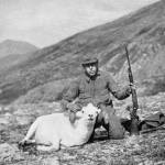 John P. Holman poses with his first Dall sheep ram, shot in 1917 while being guided by Ben Swesey in the Kenai Mountains. (Photo from Holmans 1933 hunting memoir)